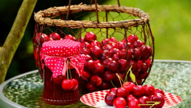 Dulceata de cirese amare si cirese in cos