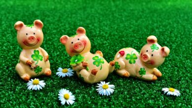 Purcelusi, trifoi cu patru foi si margarete